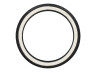 17 inch 2.25x17 Sava / Mitas MC11 tire semi slick white wall
