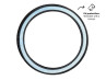 19 inch 2.00x19 Anlas NR-7 band white wall Puch MS