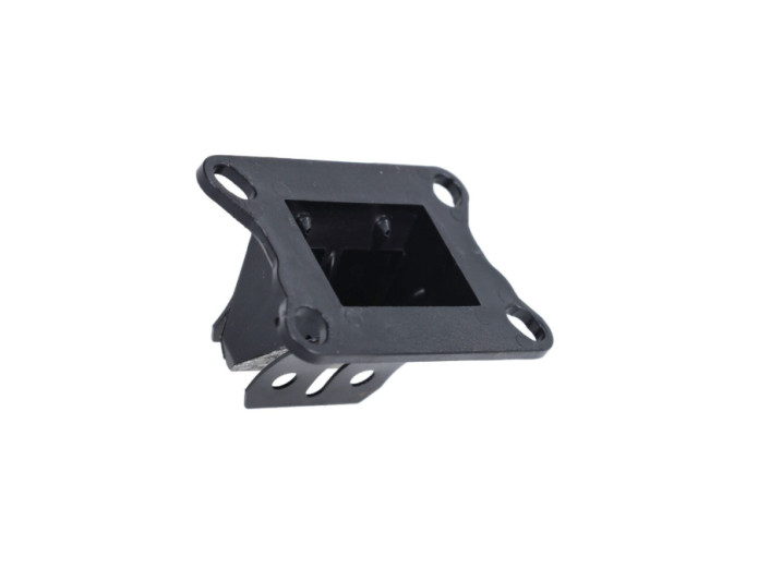 Membran Malossi VL6 Carbonite für 74ccm Gilardoni / Italkit 