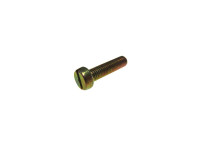 Bing 12/15/17mm screw M5 for square carburetor