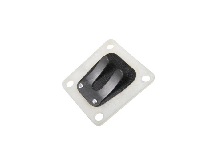 Reed valve Polini 65cc cylinder Malossi VL1 carbonit