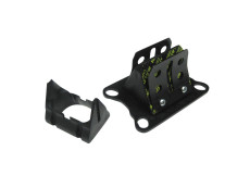 Membraan Malossi VL6 carbon voor Gilardoni / Italkit 74cc