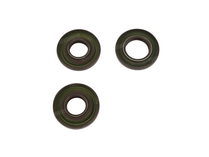 Seal Puch Maxi E50 old model (17x40x7 / 22x40x7) FKM A-quality set 