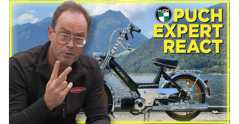 Puch expert REACTs to your Puch! #Episode3