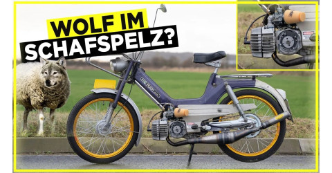 Rijden op mijn snelste Puch Maxi! (74CC GILARDONI SLEEPER)