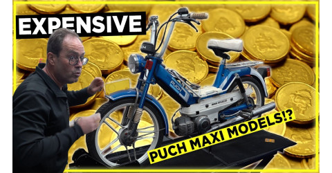 Eines der teuersten neuer Zustand Puch-Mofas - Puch Maxi Starlet