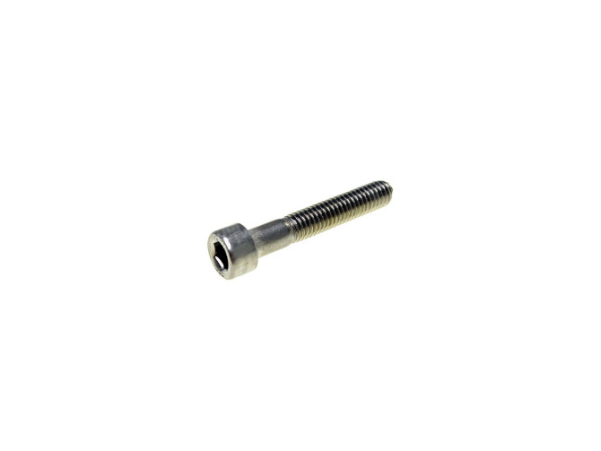 Allen bolt M6x30 stainless steel main