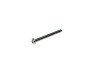 Phillips head bolt M4x40 galvanized thumb extra