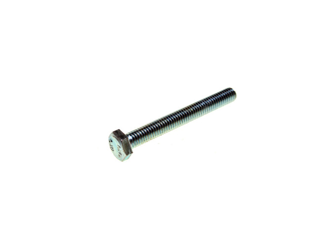 Hexagon bolt M6x50 galvanized main