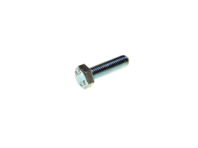 Hexagon bolt M8x30 galvanized main