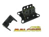 Membraan Malossi VL6 carbon voor Gilardoni / Italkit 74cc thumb extra