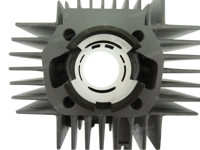 Zylinder 50ccm AM PSR 6-Kanal Puch Maxi, X30, andere Modelle