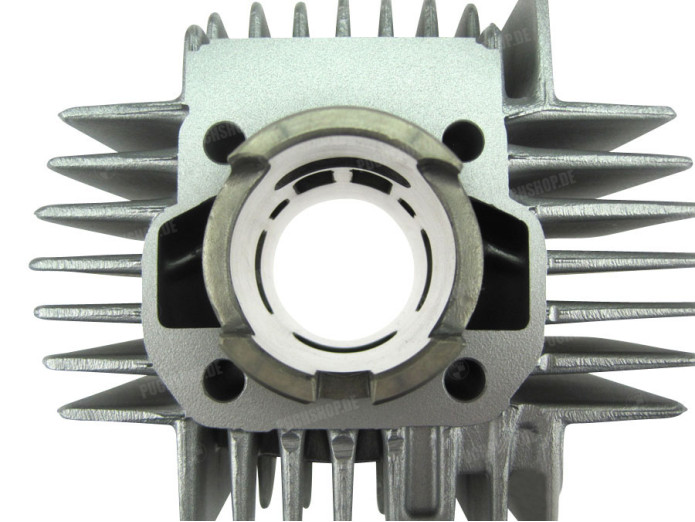 Zylinder 50ccm AM Athena 4-Kanal Puch Maxi, X30