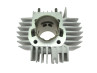 Puch Cilinder Malossi 60cc cilinder (42mm) Cilinder 60cc OM Malossi Puch Maxi, X30 en andere modellen