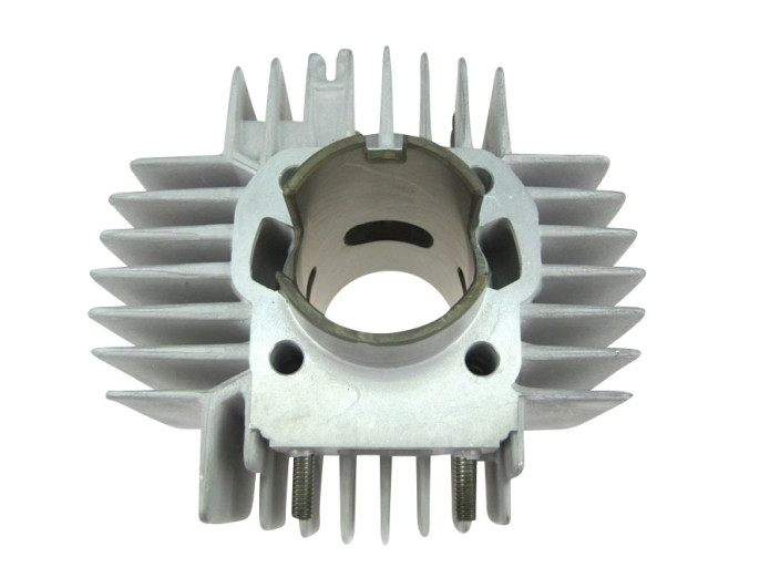 Puch Cilinder Malossi 60cc cilinder (42mm) Cilinder 60cc OM Malossi Puch Maxi, X30 en andere modellen