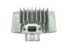 Puch Cilinder Malossi 60cc cilinder (42mm) Cilinder 60cc OM Malossi Puch Maxi, X30 en andere modellen