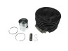 Cylinder 50cc pin 12 for Puch MV / VS / DS / MS / X30 NG2AH (38mm) 25 km/h  2