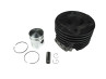 Cylinder 50cc pin 12 Puch MV / VS / DS / MS / X30 NG2AH 25 km/h version NTS thumb extra