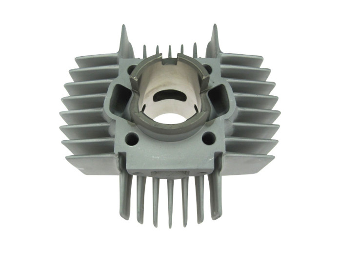 Cylinder 50cc NM DMP 6-port Puch Maxi, X30 and other models