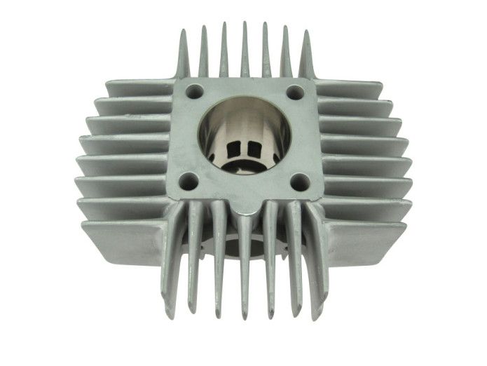 Cylinder 50cc NM DMP 6-port Puch Maxi, X30 and other models