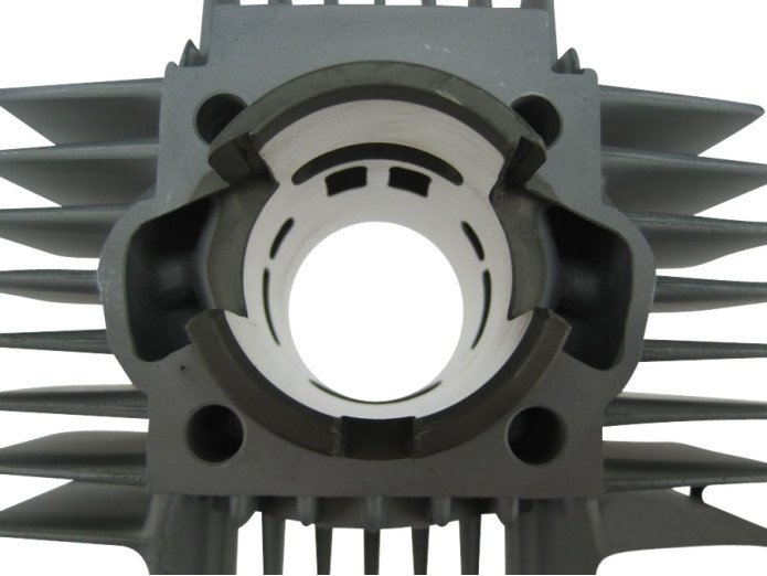 Cylinder 50cc NM DMP 6-port Puch Maxi, X30 and other models