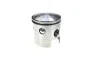 Cylinder 74cc Gilardoni reed valve with head Puch Maxi X30 thumb extra