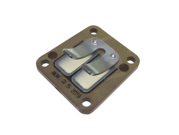 Reed valve Polini 65cc cylinder Airsal fiber 4x allen bolt