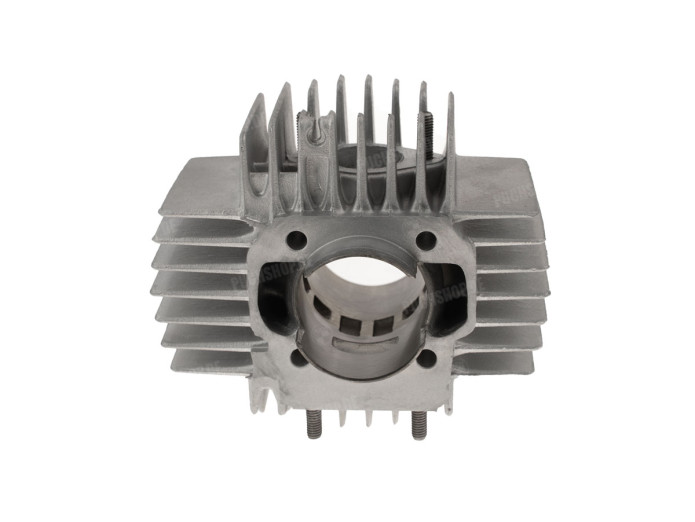 Zylinder 70ccm AM Parmakit Puch Maxi, X30 und andere Modelle