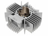 Cylinder 74cc Akoa reed valve Puch Maxi, X30 and other models + cylinder head