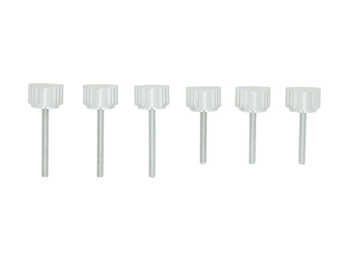 Zijkap bout zilver Puch Maxi S Fast Arrow CNC (set van 6 stuks)