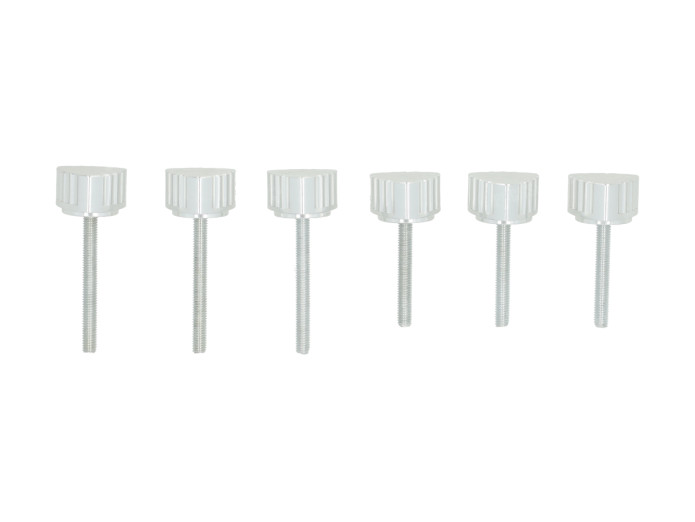 Zijkap bout zilver Puch Maxi S Fast Arrow CNC (set van 6 stuks)