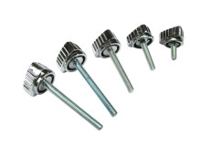 Side cover bolt chrome Puch Maxi N / K set (5-pieces)