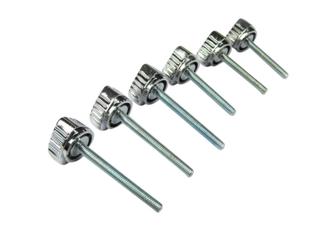 Side cover bolts chrome Puch Maxi S (6-pieces) main