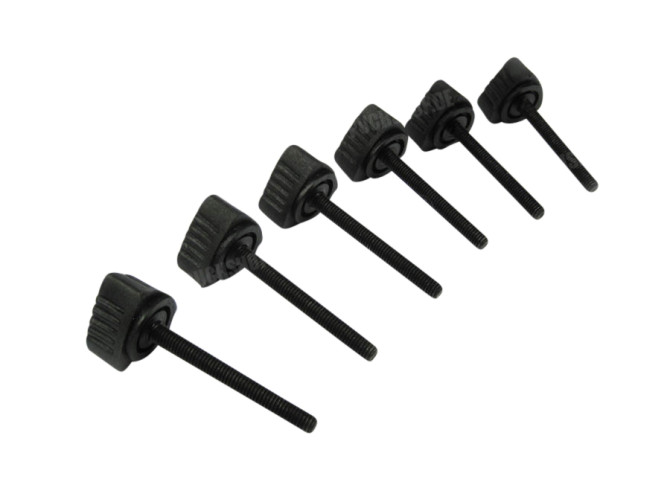 Side cover bolts black Puch Maxi S (6-pieces) main