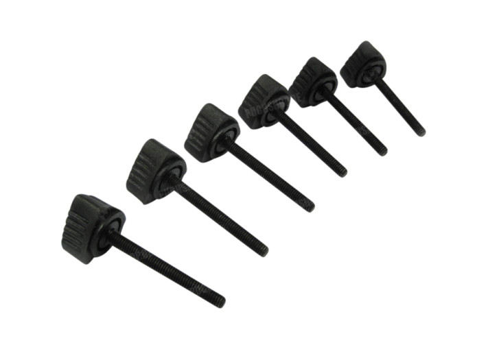 Side cover bolt black Puch Maxi S (set of 6-pieces)