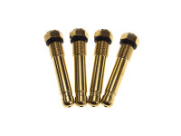 Bing SSF SSB 12-17mm old model long jet set (56-62) Puch MV / VS and Co.