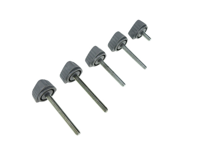 Side cover bolts grey Puch Maxi N (5-pieces) 1