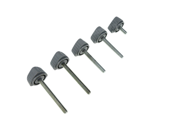 Side cover bolt grey Puch Maxi N / K (set of 5-pieces) main