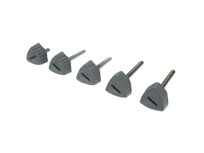 Side cover bolt grey Puch Maxi N / K (set of 5-pieces) product