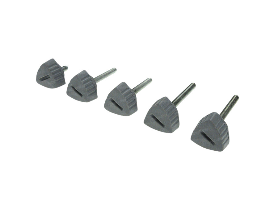 Side cover bolts grey Puch Maxi N (5-pieces) product