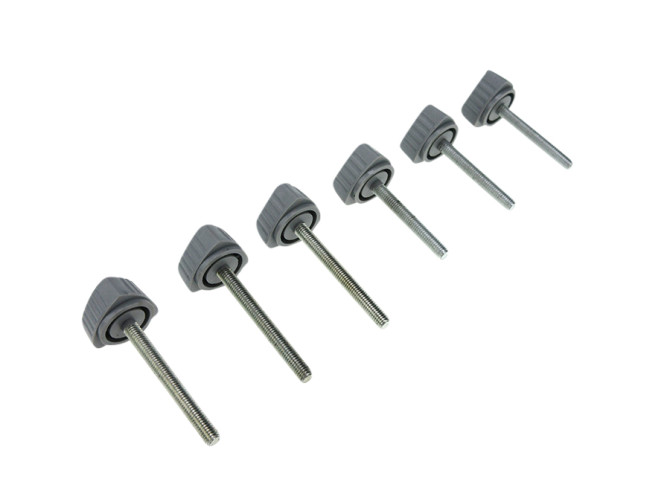 Side cover bolts grey Puch Maxi S (6-pieces) product