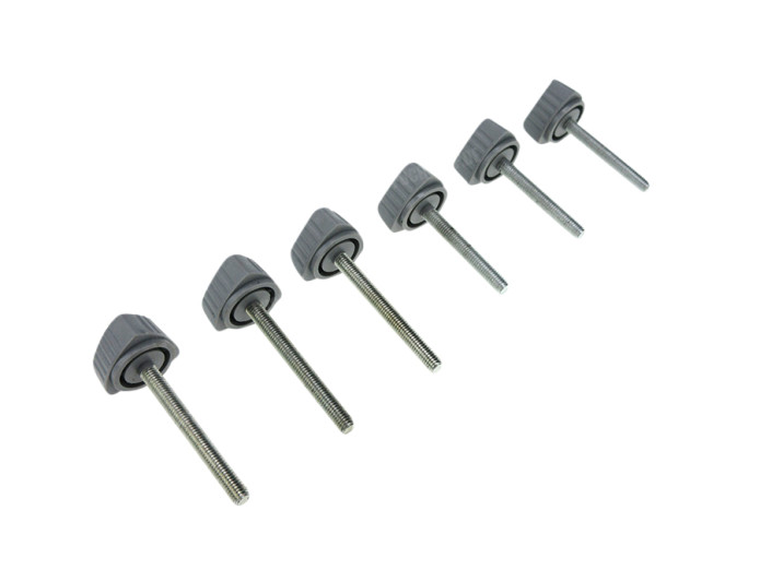 Side cover bolts grey Puch Maxi S (set of 6-pieces)