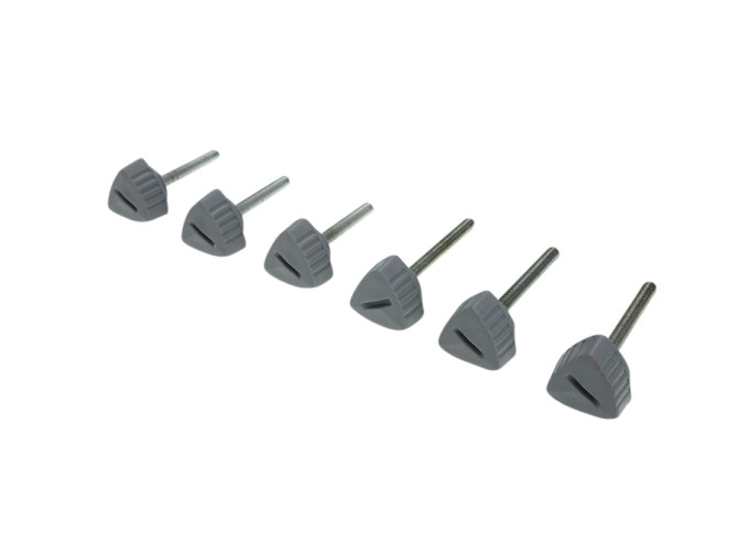 Side cover bolts grey Puch Maxi S (6-pieces) product