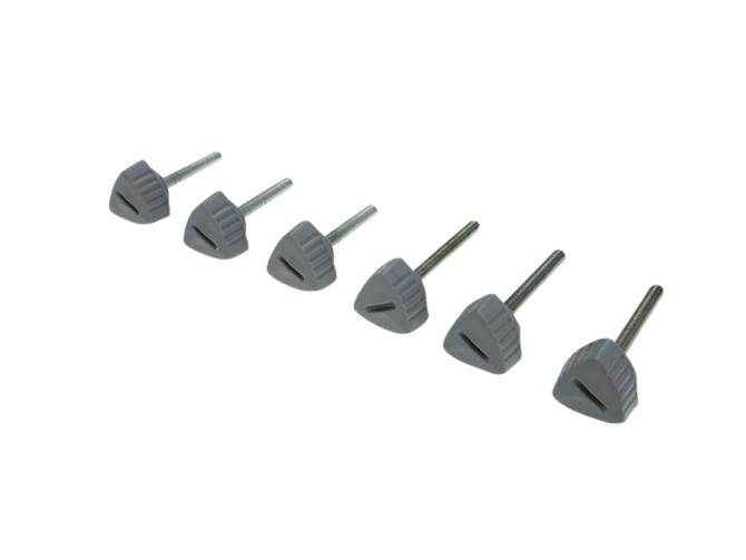 Side cover bolts grey Puch Maxi S (set of 6-pieces) product
