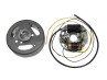 Ignition Sachs 504 6V 17W with flywheel Ignition Sachs 504 6V 17W with flywheel