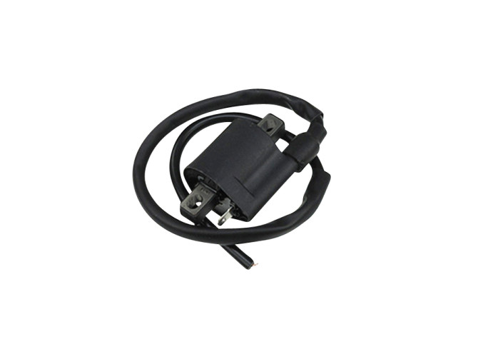 Ignition HPI 210 (2-Ten) coil product