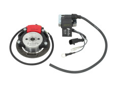 Ontsteking binnenrotor Selettra NO2019 (FiA) Puch universeel 