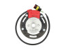 Ignition inner rotor Selettra NO2019 (FiA) Puch universal Ignition inner rotor Selettra NO2019 (FiA) Puch universal