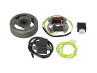 Ignition model Bosch right turning 12V 43W electronic CDI with flywheel and voltage regulator NTS thumb extra
