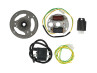 Ignition model Bosch right turning 12V 43W electronic CDI with flywheel and voltage regulator NTS thumb extra